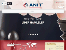 Tablet Screenshot of anit.com.tr
